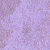M022