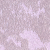 M026
