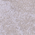 M062